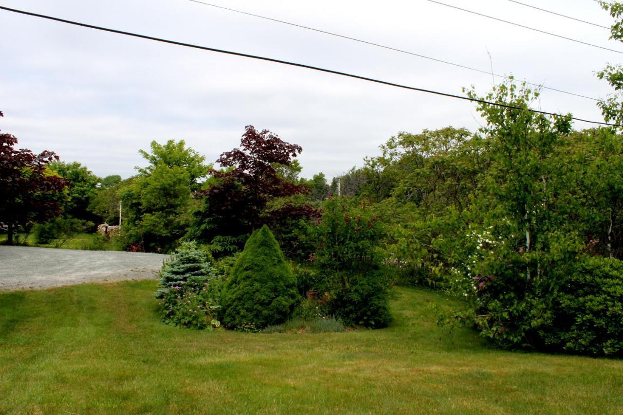 Mackenzie House B&B By Elevate Rooms Port Hawkesbury Eksteriør bilde